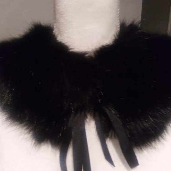 Fabulous Furs - Picture 1 of 2